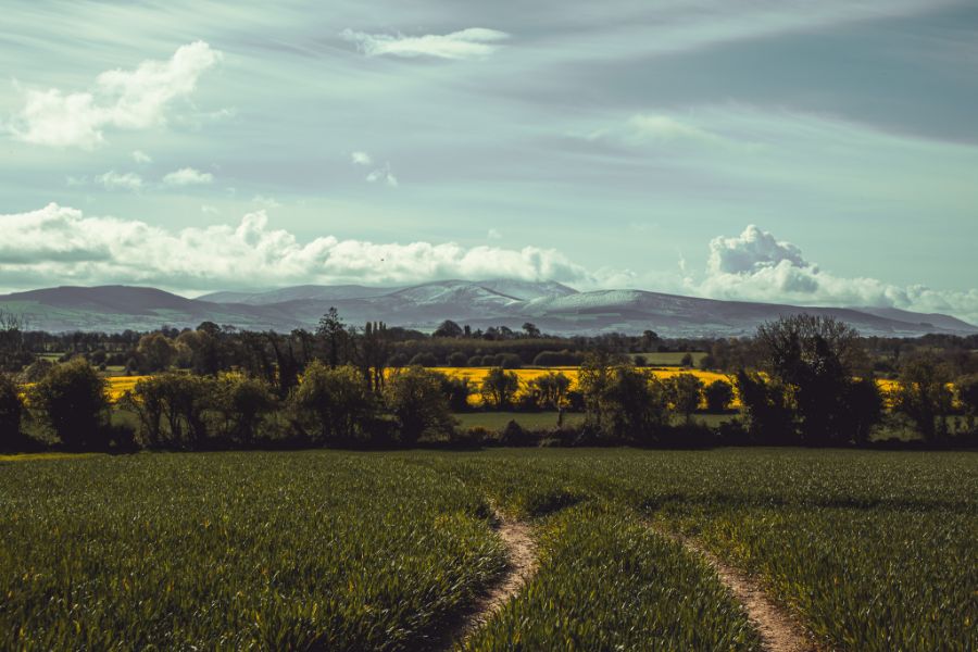 Carlow fields below the Blackstairs